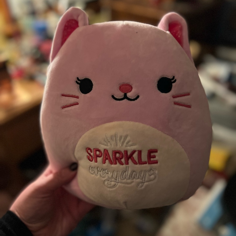 Cat squishmallow saying “sparkle everyday”